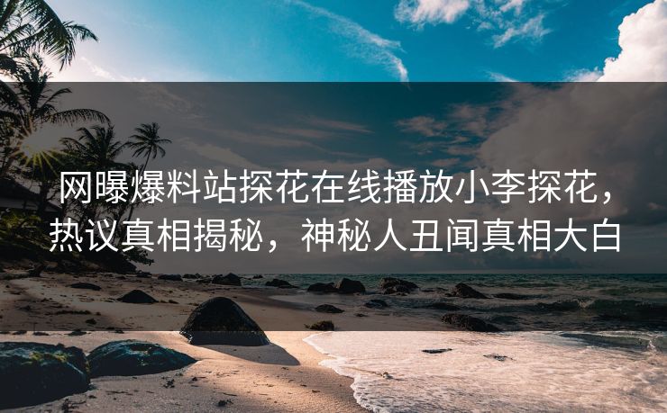网曝爆料站探花在线播放小李探花，热议真相揭秘，神秘人丑闻真相大白