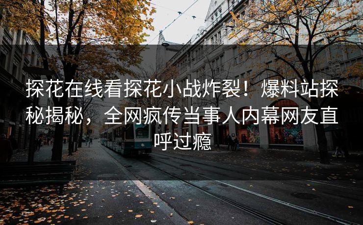 探花在线看探花小战炸裂！爆料站探秘揭秘，全网疯传当事人内幕网友直呼过瘾