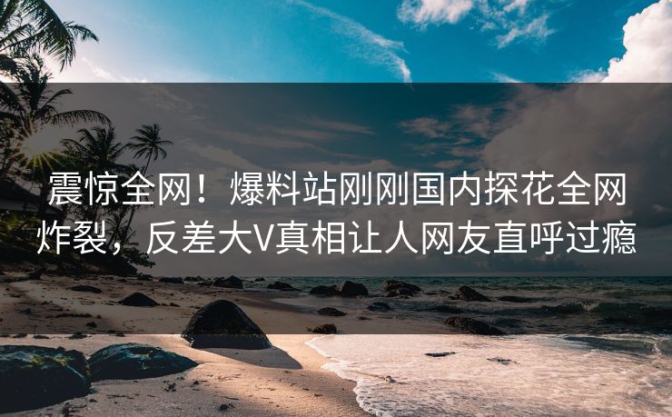 震惊全网！爆料站刚刚国内探花全网炸裂，反差大V真相让人网友直呼过瘾