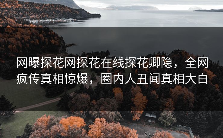 网曝探花网探花在线探花卿隐，全网疯传真相惊爆，圈内人丑闻真相大白