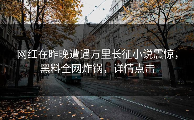 网红在昨晚遭遇万里长征小说震惊，黑料全网炸锅，详情点击