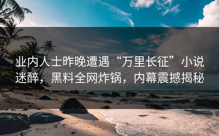 业内人士昨晚遭遇“万里长征”小说迷醉，黑料全网炸锅，内幕震撼揭秘