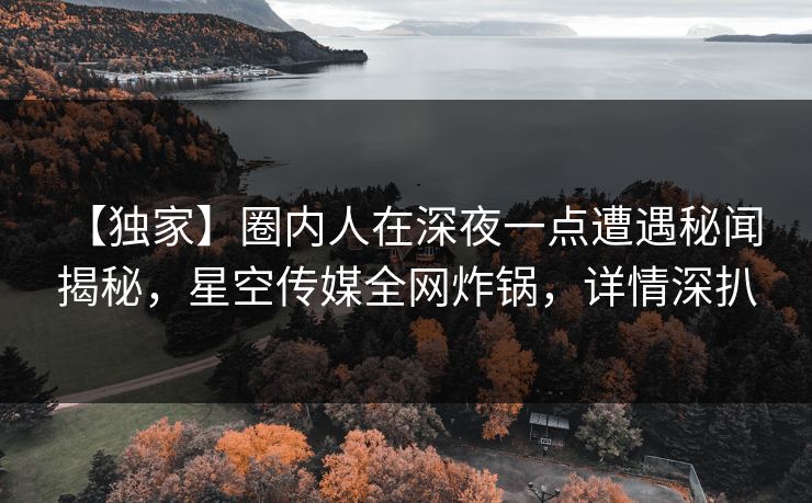 【独家】圈内人在深夜一点遭遇秘闻 揭秘，星空传媒全网炸锅，详情深扒