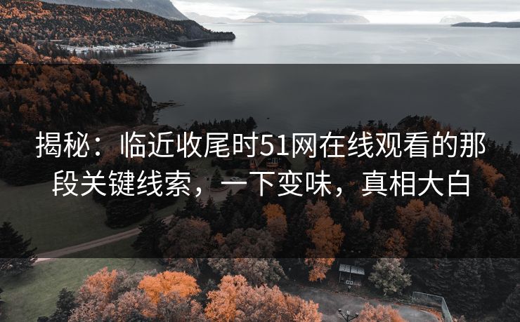 揭秘:临近收尾时51网在线观看的那段关键线索,一下变味,真相大白